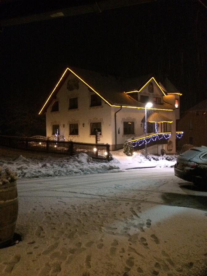 Hotel Alpenhof Markneukirchen Kültér fotó